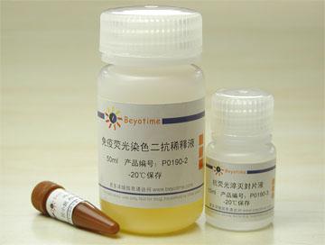 免疫荧光染色试剂盒-抗小鼠Alexa Fluor 555